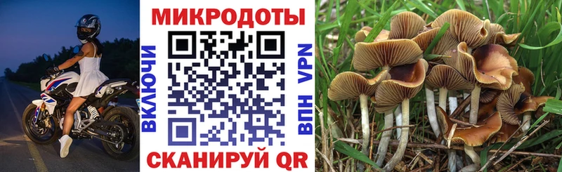 Псилоцибиновые грибы мухоморы  Жуковка 